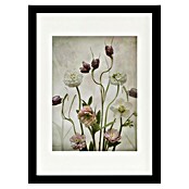 Papermoon Bild (Spring Garden, B x H: 40 x 50 cm, Mit Passepartout, Rahmen Schwarz) | BAUHAUS