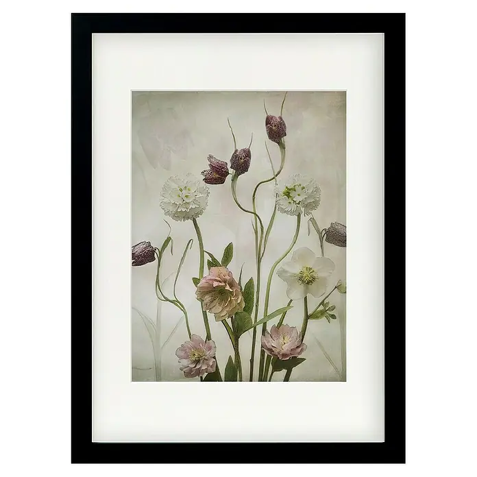 Papermoon Bild - Spring Garden, B x H: 50 x 70 cm, Mit Passepartout, Rahmen Schwarz - Gerahmtes Bild mit zarten Frühlingsblumen. Elegante Dekoration für Ihr Zuhause, die eine friedliche und natürliche Atmosphäre schafft.
