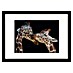 Papermoon Bild 