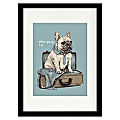 Papermoon Bild (Frenchie Want Travel, B x H: 100 x 140 cm, Mit Passepartout, Rahmen Schwarz) | BAUHAUS