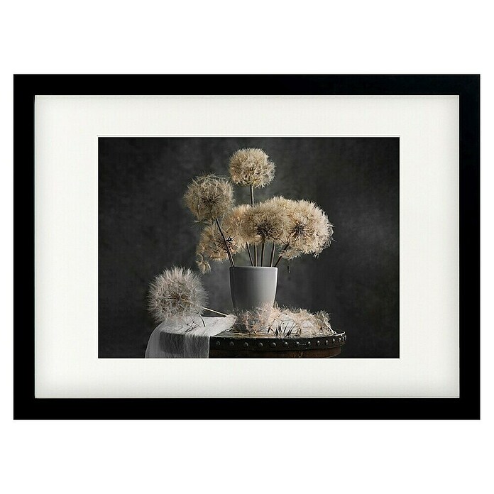 Papermoon Bild (Dandelion Seed, B x H: 100 x 70 cm, Mit Passepartout, Rahmen Schwarz) | BAUHAUS