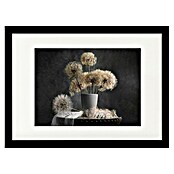 Papermoon Bild (Dandelion Seed, B x H: 100 x 70 cm, Mit Passepartout, Rahmen Schwarz) | BAUHAUS
