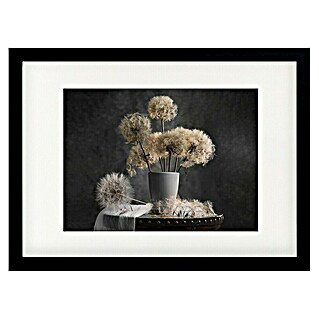 Papermoon Bild (Dandelion Seed, B x H: 50 x 40 cm, Mit Passepartout, Rahmen Schwarz)