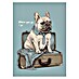 Papermoon Poster 