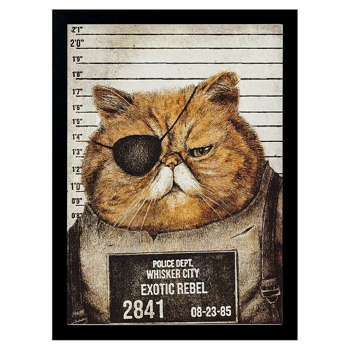 Papermoon Bild (Funny Cat, B x H: 80 x 110 cm, Ohne Passepartout, Rahmen Schwarz) | BAUHAUS