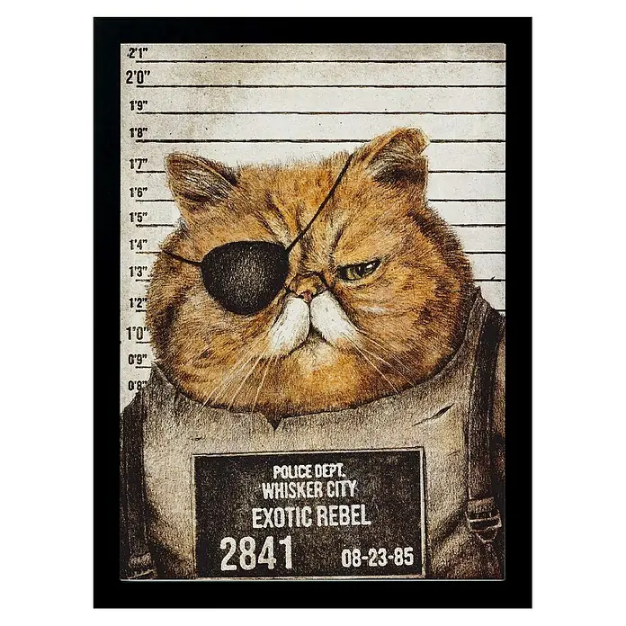 Papermoon Bild - Funny Cat, B x H: 40 x 50 cm, Ohne Passepartout, Rahmen Schwarz - Ein Mugshot eines mürrischen Perserkater mit Augenklappe, der als "Exotic Rebel" im Whiskers City Police Department registriert ist.