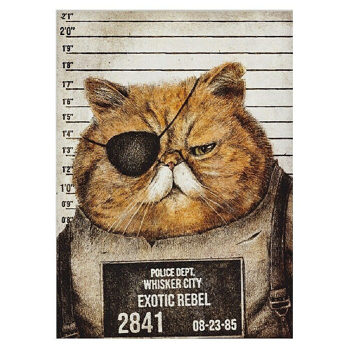 Papermoon Poster (Funny Cat, B x H: 80 x 110 cm, Mit Passepartout) | BAUHAUS