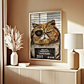 Papermoon Bild (Funny Cat, B x H: 50 x 70 cm, Mit Passepartout, Rahmen Eiche) | BAUHAUS