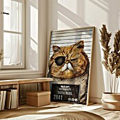 Papermoon Bild (Funny Cat, B x H: 50 x 70 cm, Mit Passepartout, Rahmen Eiche) | BAUHAUS