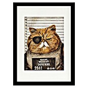 Papermoon Bild (Funny Cat, B x H: 80 x 110 cm, Mit Passepartout, Rahmen Schwarz) | BAUHAUS