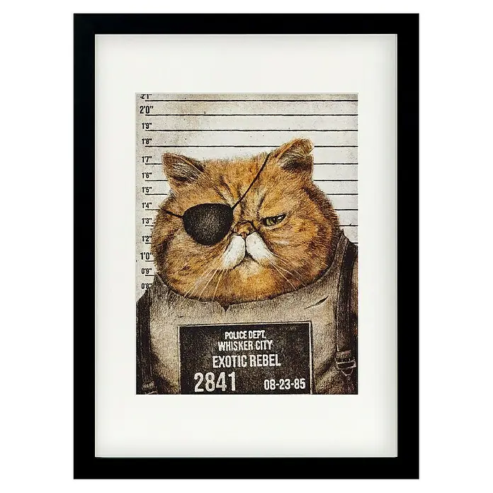 Papermoon Bild - Funny Cat, B x H: 40 x 50 cm, Mit Passepartout, Rahmen Schwarz - Gerahmtes Poster mit einem gezeichneten Katzen-Gangsterboss mit Augenklappe vor einer Messlatte mit dem Namen "Exotic Rebel".