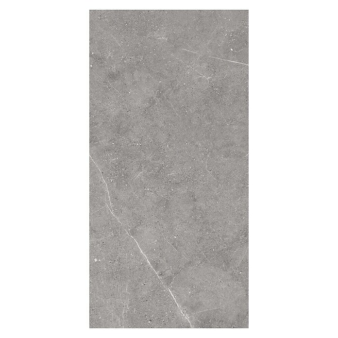 Porculanska pločica Viper  (120 x 60 cm, Siva, Mat) | BAUHAUS