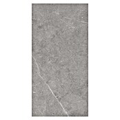 Porculanska pločica Viper  (120 x 60 cm, Siva, Mat) | BAUHAUS