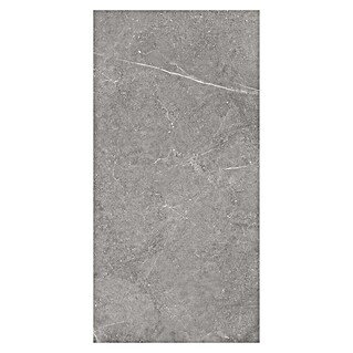Porculanska pločica Viper (120 x 60 cm, Siva, Mat)