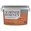SCHÖNER WOHNEN-Farbe Wandfarbe Trendfarbe (Arizona, Matt, 2,5 l, Konservierungsmittelfrei) | BAUHAUS