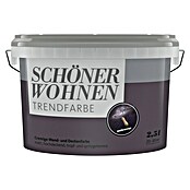 SCHÖNER WOHNEN-Farbe Wandfarbe Trendfarbe (Universe, Matt, 2,5 l, Konservierungsmittelfrei) | BAUHAUS