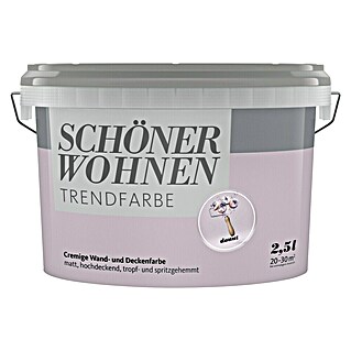 Boja za zid SCHÖNER WOHNEN Trend (Donut, Mat, 2,5 l)