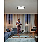 Philips Hue LED-Panel rund White Ambiance Tento XL (25 W, Ø x H: 54,2 x 3,56 cm, Schwarz, Kaltweiß) | BAUHAUS