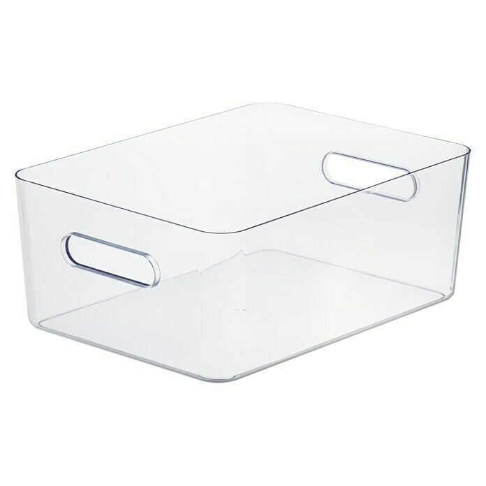 SmartStore Aufbewahrungsbox (L x B x H: 41 x 28,7 x 15,5 cm, Kunststoff, Transparent)