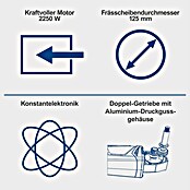 Scheppach Mauernutfräse MNF2250 (2 250 W, Durchmesser Scheibe: 125 mm) | BAUHAUS