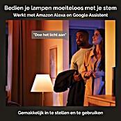 Philips Hue Ledpaneel, rond Tento WA (16,6 W, Ø x h: 29,1 x 3,2 cm, Wit, Koud wit) | BAUHAUS