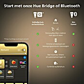 Philips Hue Ledpaneel, rond Tento WA (16,6 W, Ø x h: 29,1 x 3,2 cm, Wit, Koud wit) | BAUHAUS