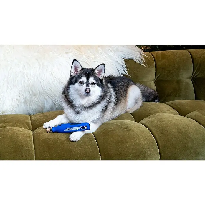 Dremel Krallenpflege-Set 7350 PET - 3,6 V, 12.000 U/min - Ein Dremel Krallenpfleger liegt auf einem grünen Sofa neben einem Pomsky.