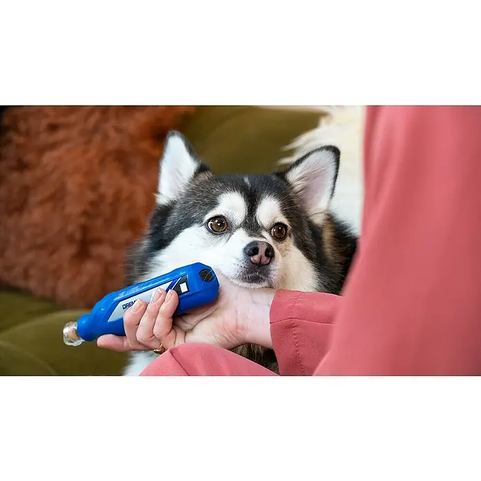 Dremel Krallenpflege-Set 7350 PET - 3,6 V, 12.000 U/min - Ein Dremel Krallenpflegeaufsatz in der Hand einer Person, während ein Hund zuschaut, um die einfache Krallenpflege für Haustiere zu demonstrieren.