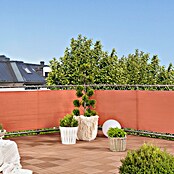 Windhager Zaštita od pogleda za balkon Sylt  (Terakota, 5 x 0,9 m, Značajke proizvoda: Rola) | BAUHAUS