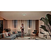 Philips Hue LED-Panel rund Tento (16,6 W, Ø x H: 29,1 x 3,2 cm, Schwarz, Warmweiß) | BAUHAUS