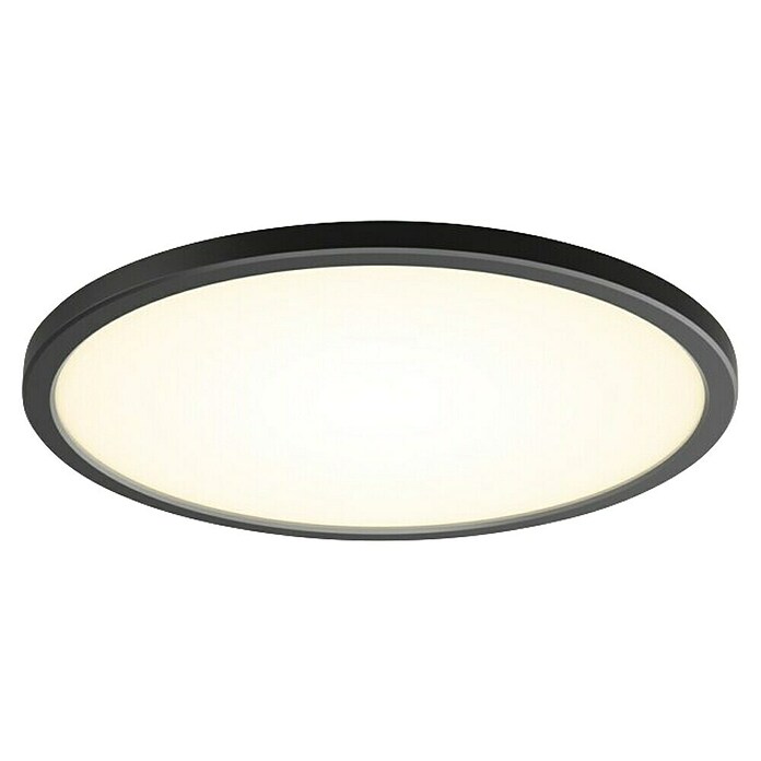 Philips Hue LED-Panel rund Tento (16,6 W, Ø x H: 29,1 x 3,2 cm, Schwarz, Warmweiß) | BAUHAUS