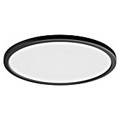 Philips Hue LED-Panel rund Tento (16,6 W, Ø x H: 29,1 x 3,2 cm, Schwarz, Warmweiß) | BAUHAUS