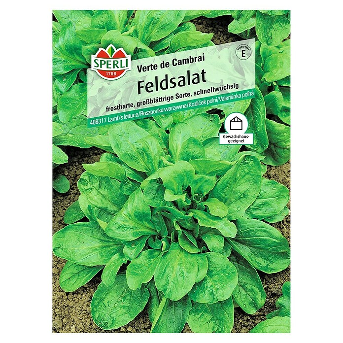 Sperli Salatsamen Feldsalat (Valerianella locusta, Erntezeit: April) | BAUHAUS