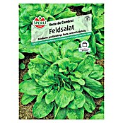 Sperli Salatsamen Feldsalat (Valerianella locusta, Erntezeit: April) | BAUHAUS