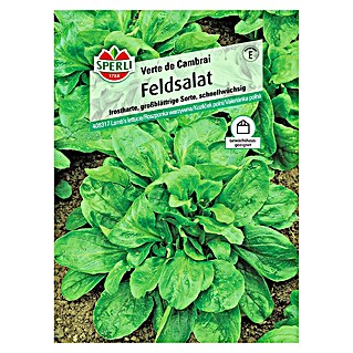 Sperli Salatsamen Feldsalat (Valerianella locusta, Erntezeit: April)