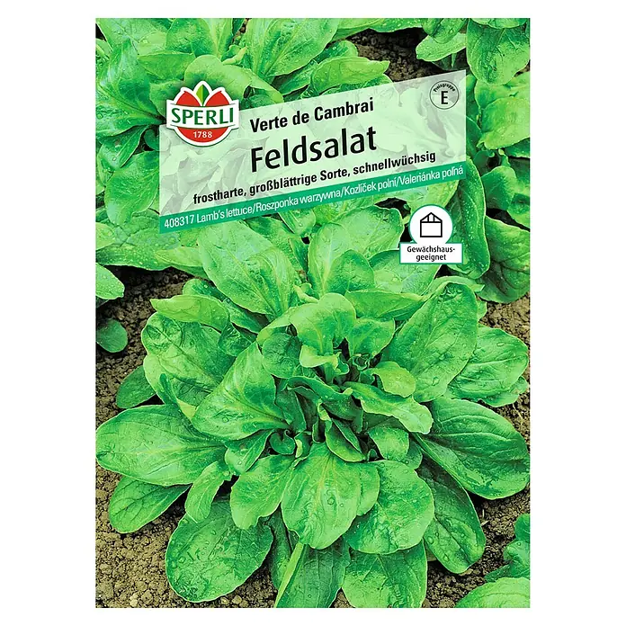 Sperli Salatsamen Feldsalat - Valerianella locusta, Erntezeit: April - Abbildung einer Samentüte Feldsalat "Verte de Cambrai" von Sperli, einer frostharten und schnellwüchsigen Sorte, ideal für Gewächshäuser.