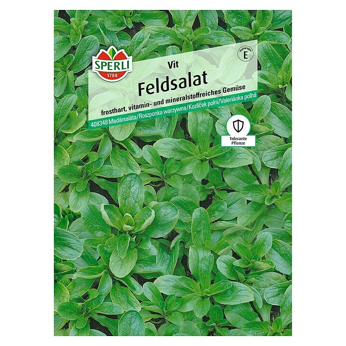 Sperli Salatsamen Feldsalat 'Vit' (Valerianella locusta, Erntezeit: Ganzjährig) | BAUHAUS
