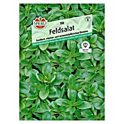 Sperli Salatsamen Feldsalat 'Vit' (Valerianella locusta, Erntezeit: Ganzjährig) | BAUHAUS