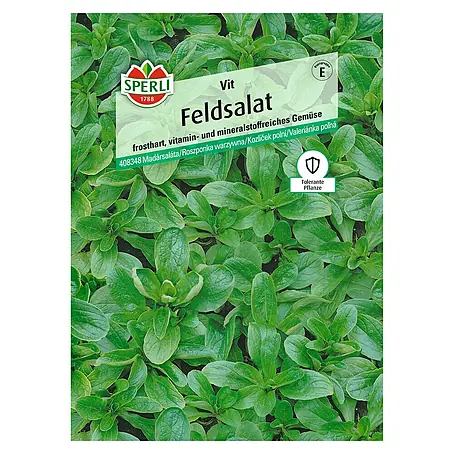 Sperli  Salatsamen Feldsalat 'Vit'