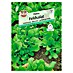 Sperli Salatsamen Feldsalat 'Palace' 