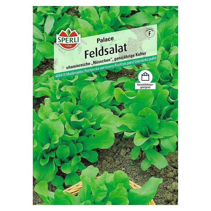 Sperli Salatsamen Feldsalat 'Palace' (Valerianella locusta, Erntezeit: Ganzjährig) | BAUHAUS