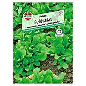 Sperli Salatsamen Feldsalat 'Palace' (Valerianella locusta, Erntezeit: Ganzjährig) | BAUHAUS