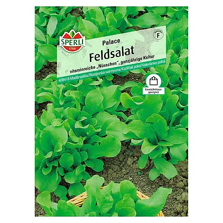 Sperli  Salatsamen Feldsalat 'Palace'