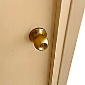 Micel Brimic Pomo para puerta de entrada (Latón)