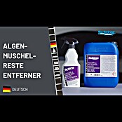 Yachticon Algen- & Muschelentferner (500 ml, Flüssig) | BAUHAUS