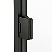 GME Mampara de ducha frontal Glass B (70 x 195 cm, Espesor de vidrio: 6 mm, Titanio) | BAUHAUS