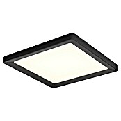 Philips Hue LED-Panel White Ambiance Tento S (12,6 W, L x B x H: 29,5 x 29,5 x 3,5 cm, Schwarz, Warmweiß) | BAUHAUS