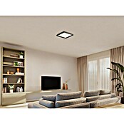 Philips Hue LED-Panel White Ambiance Tento S (12,6 W, L x B x H: 29,5 x 29,5 x 3,5 cm, Schwarz, Warmweiß) | BAUHAUS