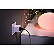 Philips Hue Funksteckdose Plug (Weiß, Max. Anschlussleistung: 2 300 W, 3 Stk.) | BAUHAUS