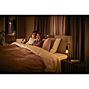 Philips Hue Smart-LED-Lampe White Ambiance Filament (E27, Dimmbar, Warmweiß, 550 lm, 7 W, Lampenbezeichnung: G93, 3 Stk.) | BAUHAUS